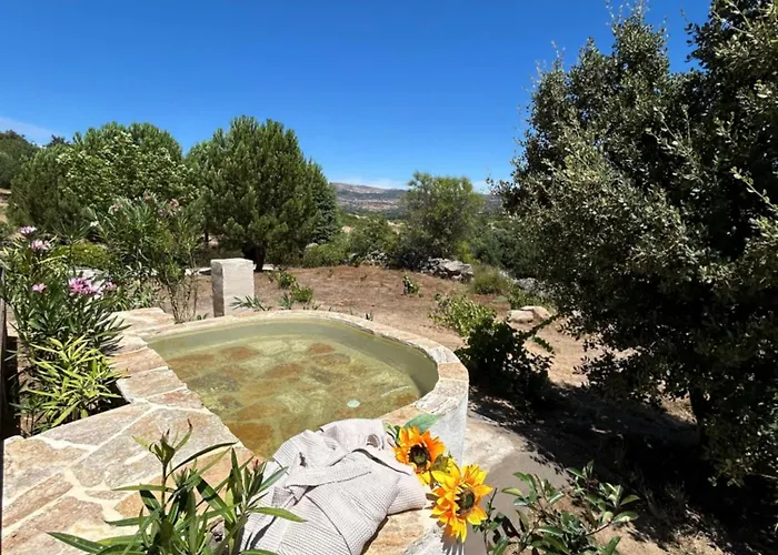 Skd Casa Naranja Rioja